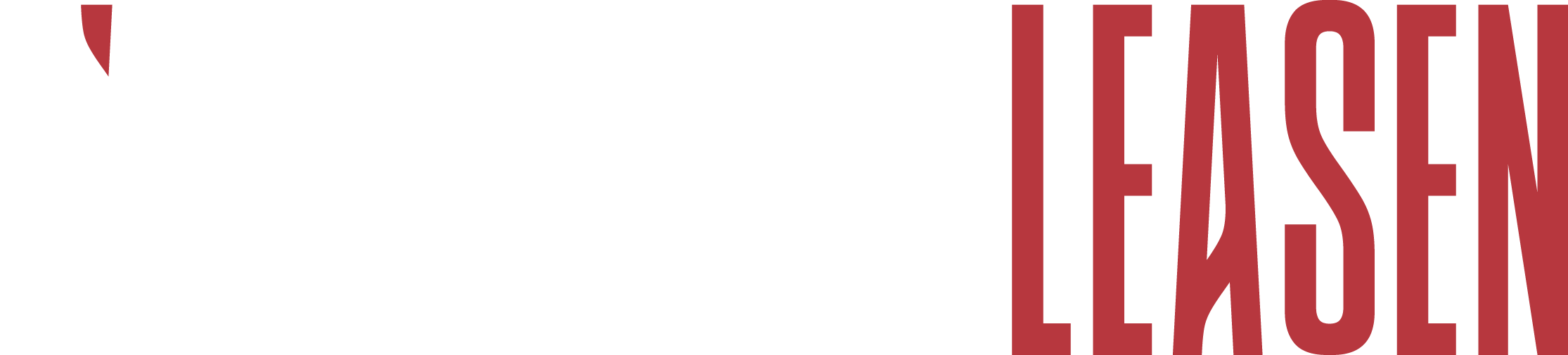Fiberlaser Leasen